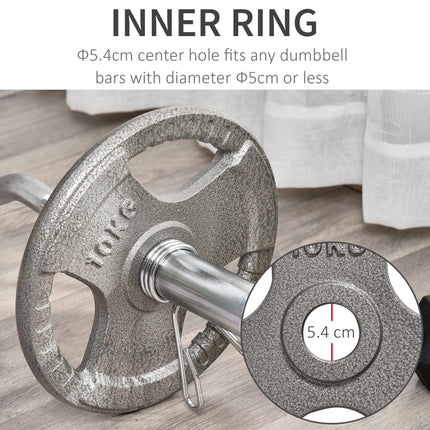 Set of 2 Steel Olympic Weight Plates 10kg Each - Silver Enamel Coated
