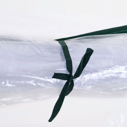 Tunnel Greenhouse 250x100x80cm Steel Frame with PVC Cover - Transparent
