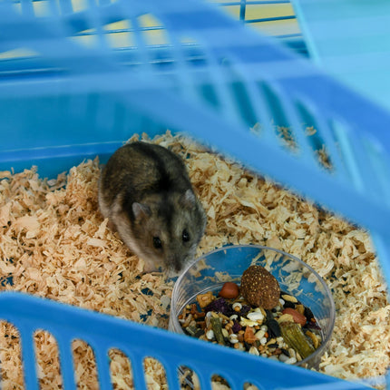 5 Tier Hamster Cage Carrier Habitat with Exercise Wheels, Tunnel, Water Bottle & Accessories - Blue