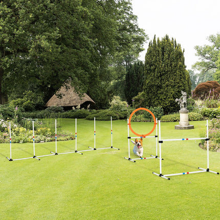 3 Piece Pet Agility Training Equipment Dog Play Run Jump Obedience Training Set