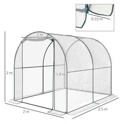 Walk-in Polytunnel Greenhouse 2 x 2.5m with Steel Frame and Roll-up Door - Transparent