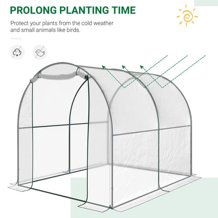 Walk-in Polytunnel Greenhouse 2 x 2.5m with Steel Frame and Roll-up Door - Transparent