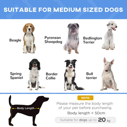Elevated Portable Large Dog Bed for Camping and Outdoor Use - Blue