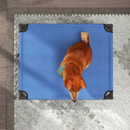 Elevated Portable Large Dog Bed for Camping and Outdoor Use - Blue