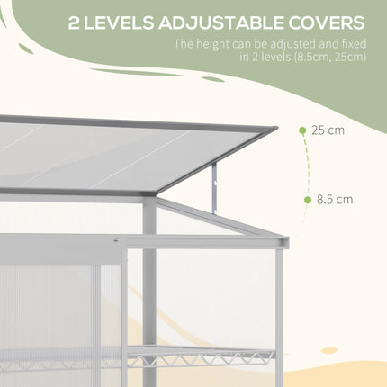3 Tier Aluminium Frame Mini Greenhouse with Polycarbonate Panels - Silver