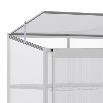 3 Tier Aluminium Frame Mini Greenhouse with Polycarbonate Panels - Silver