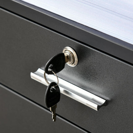 Mobile Lockable File Cabinet with Wheels and Storage Drawers 39.5x40x60cm - Black