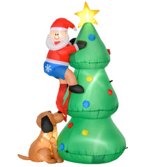Collection image for: Seasonal