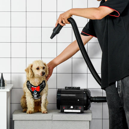 Dog Hair Dryer Pet Grooming Blaster Dryer Blower Adjustable Temperature Speed Wi 1