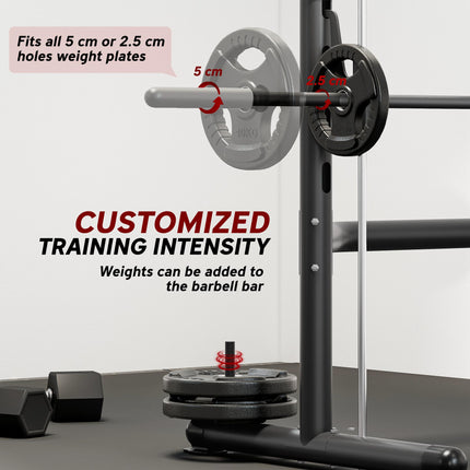 Adjustable Squat Rack with Pull-Up Bar and Barbell Bar for Home Gym - Black and Silver