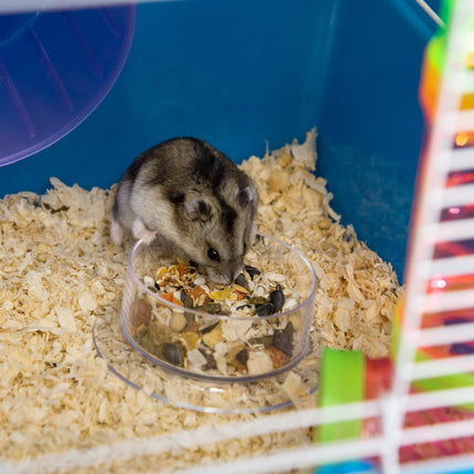 Large 5-Level Hamster Cage with Tunnel Tube, Exercise Wheel & Water Bottle - Blue