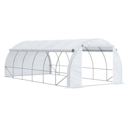 6 x 3 x 2m Walk-In Polytunnel Greenhouse with Steel Frame - White