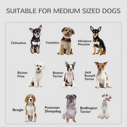 Furniture Style Dog Crate with Double Doors and Locks for Medium Dogs - White