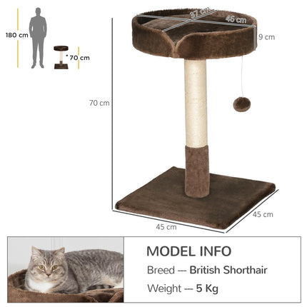 Small Indoor Cat Tree with Sisal Scratching Post, Bed Cushion & Ball Toy - Brown
