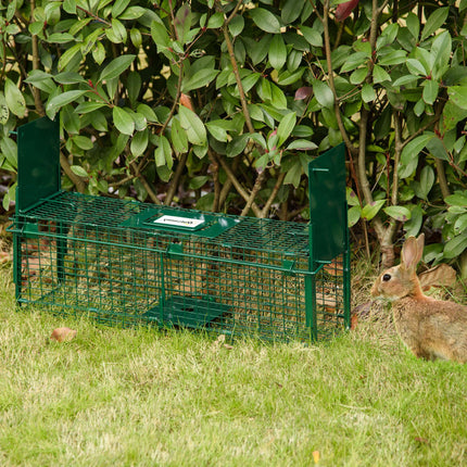 Animal Trap Cage, Humane Rat Trap with Double Doors, Squirrel Trap for Indoors & Outdoors, Catch and Release Mice, Rats, Rodents, 60 x 18 x 20 cm, Green