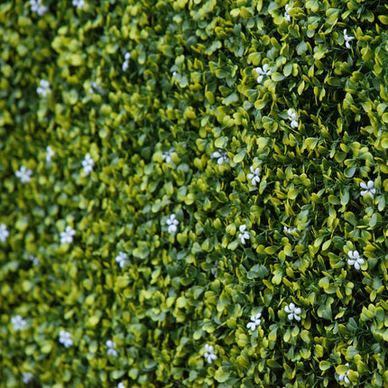12PCS Artificial Boxwood Wall Panels 50x50cm Milan Grass Privacy Fence Screen - Green