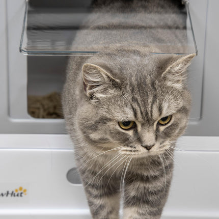 Hooded Cat Litter Box with Front Entry & Top Exit, Scoop Included, Portable Large Tray - Grey