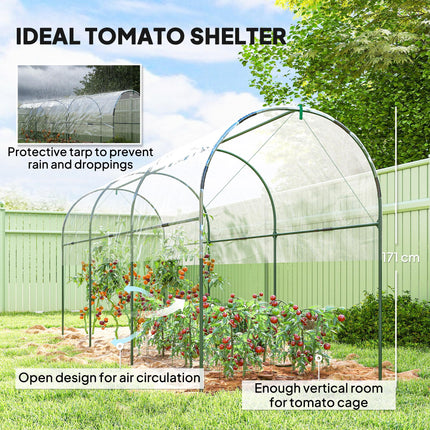 Tunnel Tomato Greenhouse with Steel Frame and Clear Cover - Green