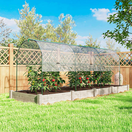 Tunnel Tomato Greenhouse with Steel Frame and Clear Cover - Green