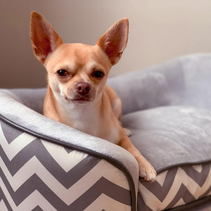 Dog Sofa for XS Dogs with Removable Sponge Cushion - Grey