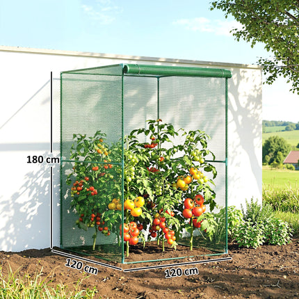 120 x 120cm Compact Plant Cage, with Netting - Green