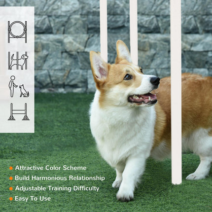 Pet Dog Agility Training Equipment Set with Carry Bag - Multicolour