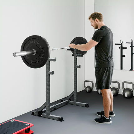 Heavy Duty Adjustable Barbell Squat Rack with Dip Station Multifunctional Power Stand - Black