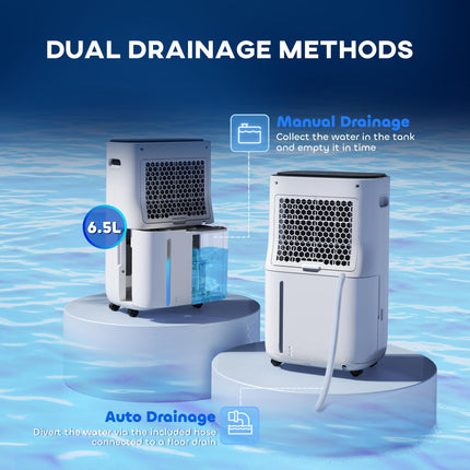 6500mL Portable Dehumidifier with Air Purifier and 24H Timer for 20-40m² - White