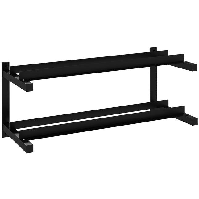 Wall-Mounted Dumbbell Rack, 2-Tier Weight Stand, Space-Saving and Multi-Functional Steel organiser for Home Gym, Black