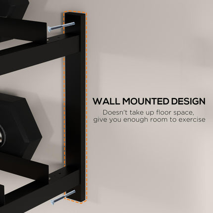 Wall-Mounted Dumbbell Rack, 2-Tier Weight Stand, Space-Saving and Multi-Functional Steel organiser for Home Gym, Black