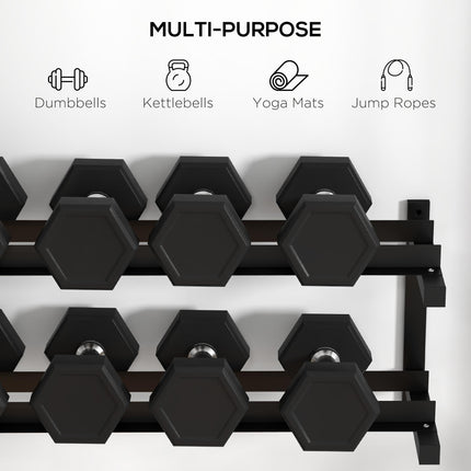 Wall-Mounted Dumbbell Rack, 2-Tier Weight Stand, Space-Saving and Multi-Functional Steel organiser for Home Gym, Black