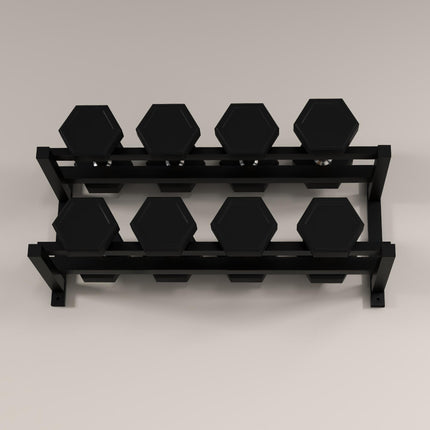 Wall-Mounted Dumbbell Rack, 2-Tier Weight Stand, Space-Saving and Multi-Functional Steel organiser for Home Gym, Black