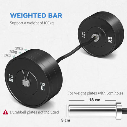 Olympic EZ Curl Barbell Bar 120cm for 2"/5cm Weight Plates with Spring Clips - Silver/Black