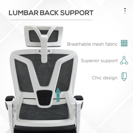 Mesh Reclining Office Chair with Adjustable Headrest, Lumbar Support & Footrest - Black