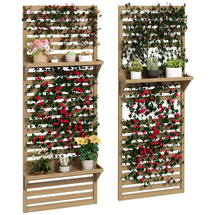 Set of 2 Fir Wood Wall Mounted Plant Stands with Shelves - Natural