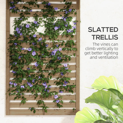 Set of 2 Fir Wood Wall Mounted Plant Stands with Shelves - Natural