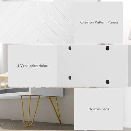 Narrow Shoe Storage Cabinet with 4 Flip Drawers and Adjustable Shelf for 16 Pairs - White Gold Tone